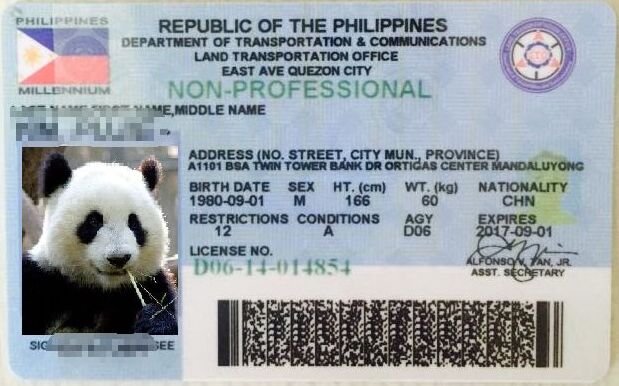 菲律宾驾驶证难考吗，需要什么条件才能考取
