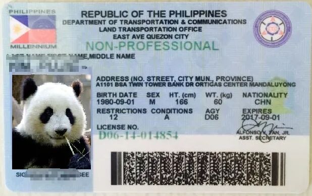 菲律宾驾照能在中国使用吗？转到中国需要什么手续？