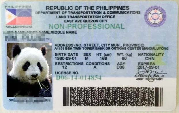 有了菲律宾驾照需要多久才能转成中国驾照