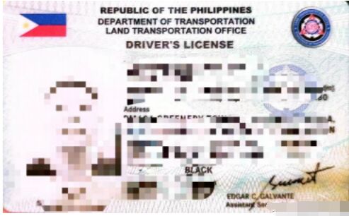 菲律宾陆运署LTO驾驶证照