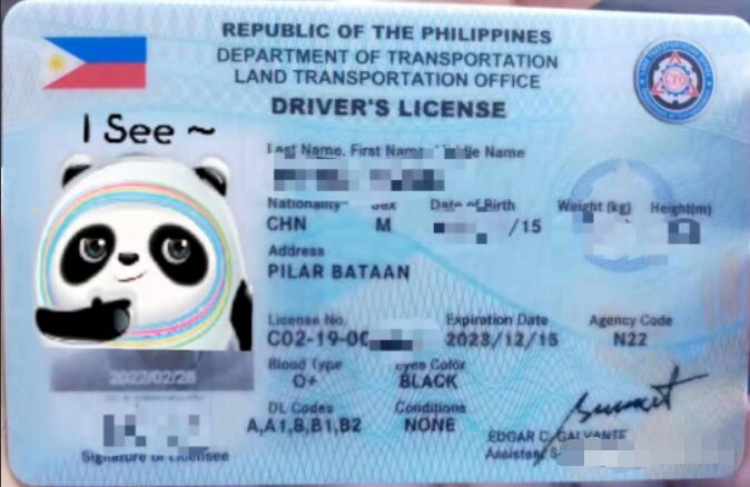 菲律宾驾驶证掉了，怎么办？